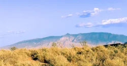 108 2nd St NE, Rio Rancho, NM 87124